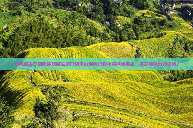 如何解决宁德团体旅游去厦门胡里山炮台行程中的拥堵痛点，实现顺畅出行体验？