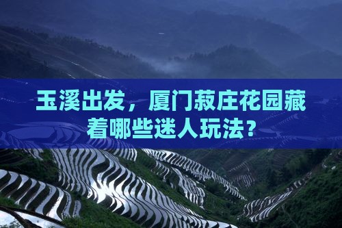 玉溪出发，厦门菽庄花园藏着哪些迷人玩法？