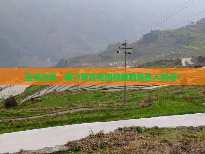 玉溪出发，厦门菽庄花园藏着哪些迷人玩法？