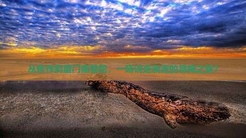 从焦作到厦门南普陀，一场说走就走的寻禅之旅？