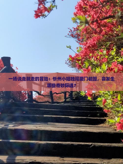 一场说走就走的冒险：忻州小妞独闯厦门毓园，会发生哪些奇妙际遇？