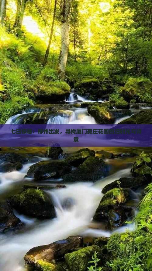 七日探秘：柳州出发，寻找厦门菽庄花园的旧时光与诗意