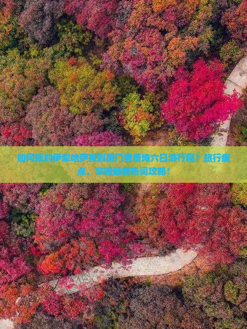 如何规划伊犁哈萨克到厦门曾厝埯六日游行程？旅行痛点，掌握最新热词攻略！