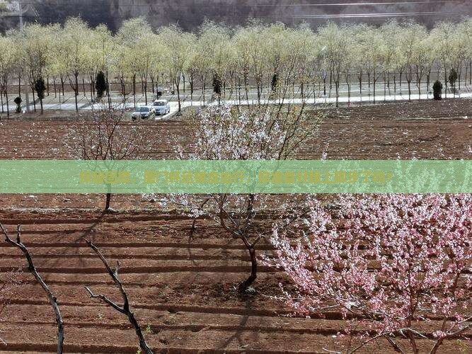 探秘固原，厦门怀远楼自由行，你准备好跟上脚步了吗？
