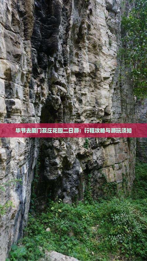 毕节去厦门菽庄花园二日游：行程攻略与游玩须知