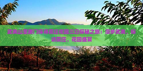 武夷山至厦门探寻菽庄花园三日探秘之旅：漫步武夷、探访菽庄、花园盛宴