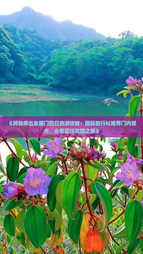 《阿勒泰出发厦门四日旅游攻略：国际旅行社推荐门内景点，必看菽庄花园之旅》