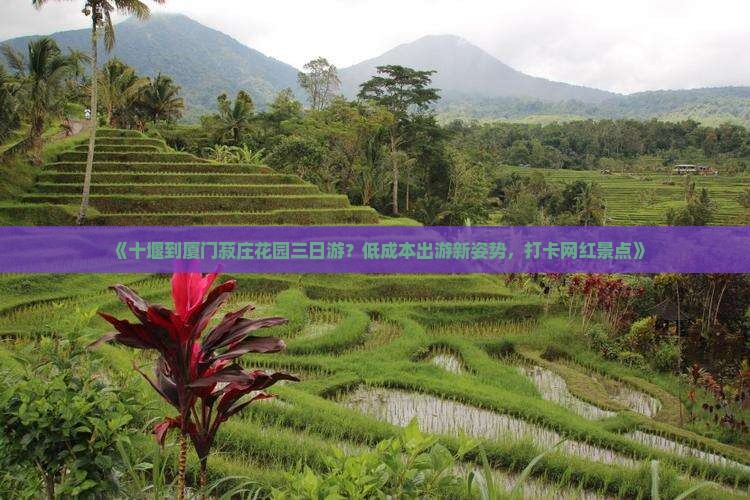 《十堰到厦门菽庄花园三日游？低成本出游新姿势，打卡网红景点》