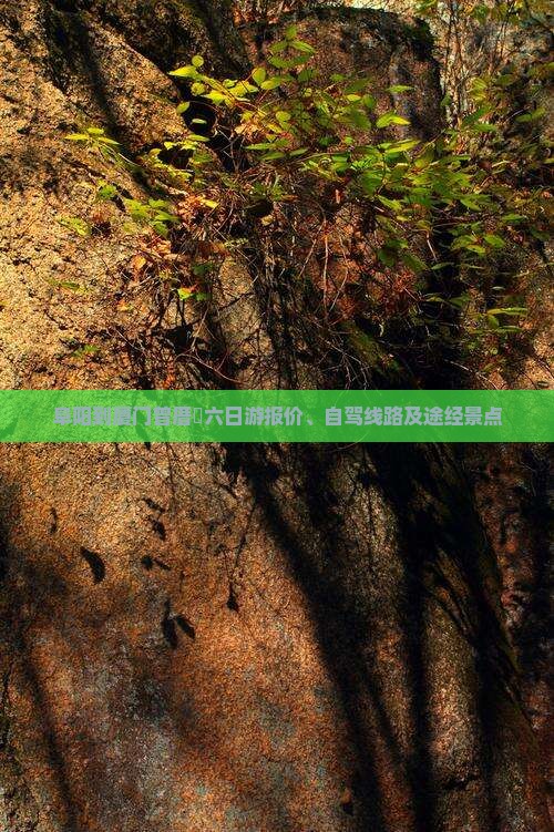 阜阳到厦门曾厝垵六日游报价、自驾线路及途经景点