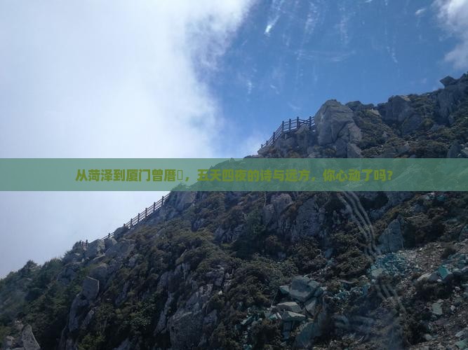 从菏泽到厦门曾厝垵，五天四夜的诗与远方，你心动了吗？