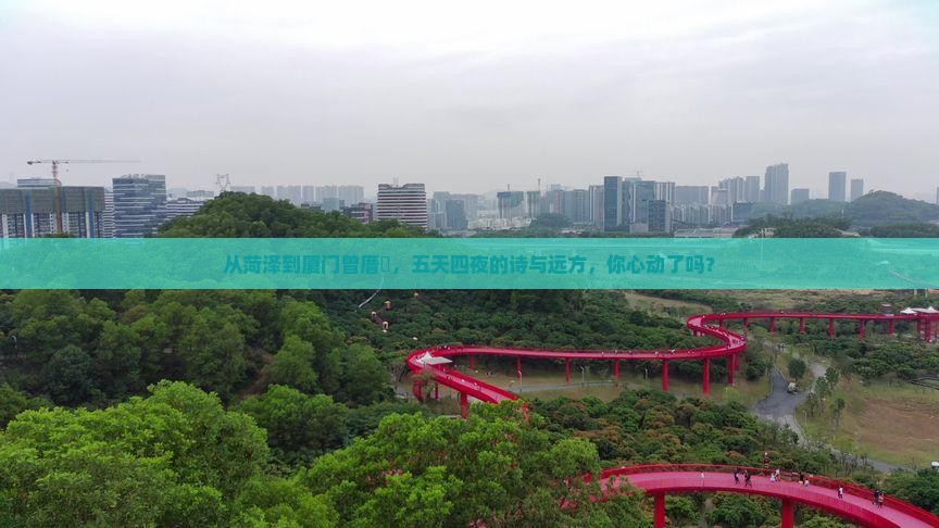 从菏泽到厦门曾厝垵，五天四夜的诗与远方，你心动了吗？