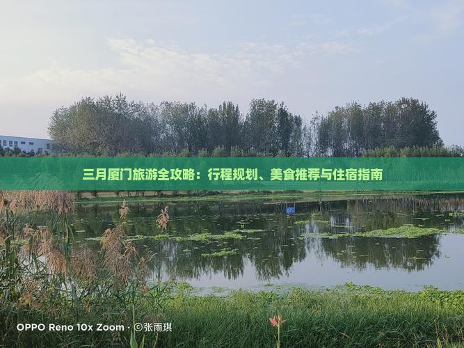 三月厦门旅游全攻略：行程规划、美食推荐与住宿指南