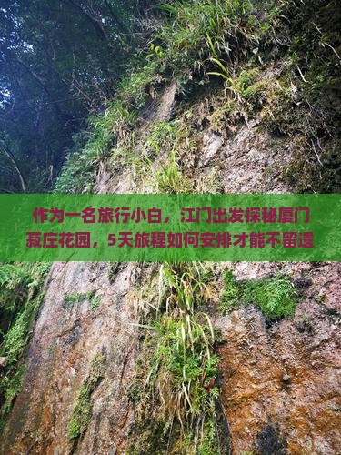 作为一名旅行小白，江门出发探秘厦门菽庄花园，5天旅程如何安排才能不留遗憾？