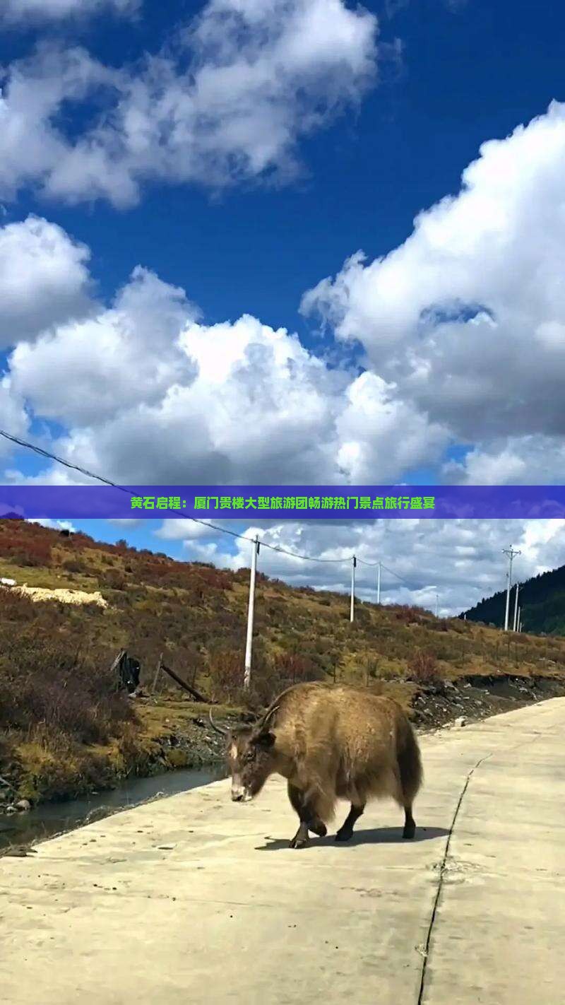 黄石启程：厦门贵楼大型旅游团畅游热门景点旅行盛宴