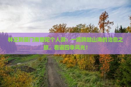 林芝到厦门南普陀个人游