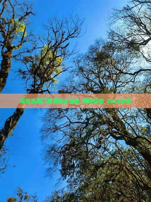 深圳去厦门和贵楼必去地