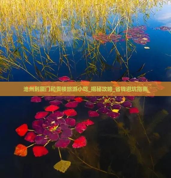 池州到厦门和贵楼旅游小吃