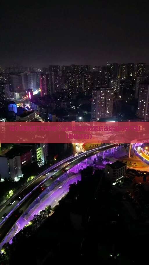 哈尔滨到厦门和贵楼旅行社