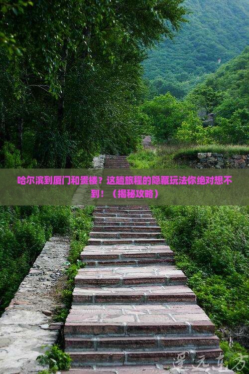 哈尔滨到厦门和贵楼旅行社