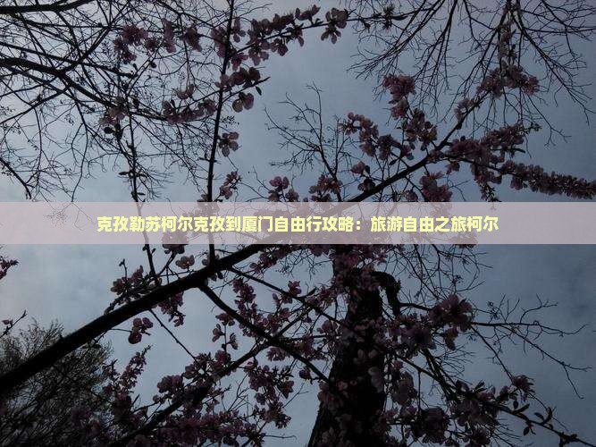 克孜勒苏柯尔克孜到厦门自由行