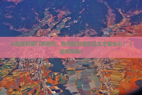 延安去厦门南普陀旅行社
