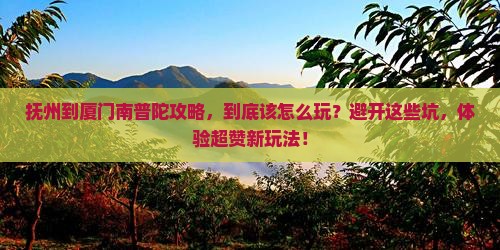抚州到厦门南普陀攻略