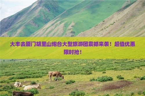 大丰去厦门胡里山炮台大型旅游团
