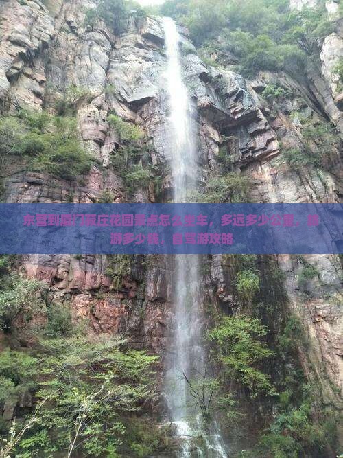 东营到厦门菽庄花园景点