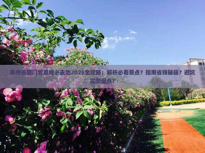 泰州去厦门曾厝埯必去地