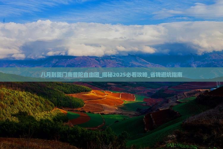 八月到厦门南普陀自由团