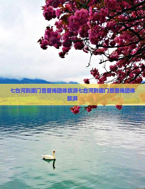 七台河到厦门曾厝埯团体旅游