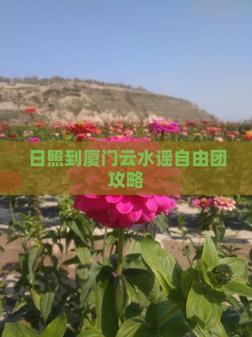 日照到厦门云水谣自由团