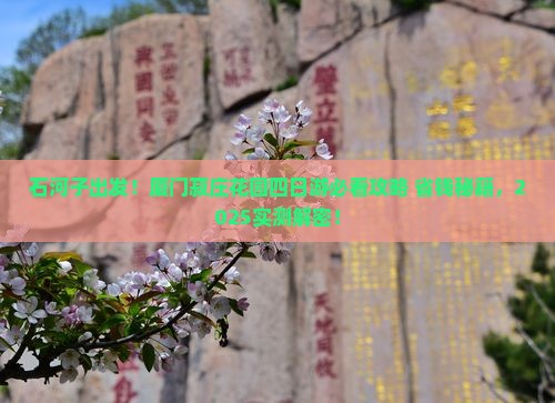 石河子去厦门菽庄花园四日游