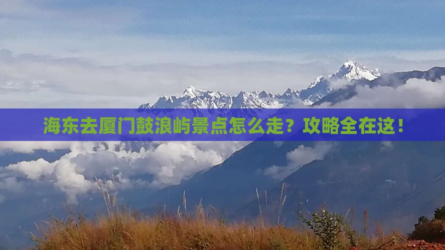 海东去厦门鼓浪屿景点
