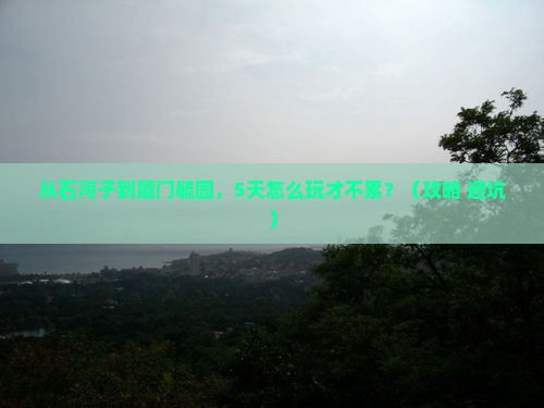 石河子到厦门毓园旅游