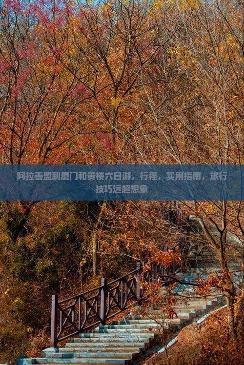 阿拉善盟到厦门和贵楼六日游