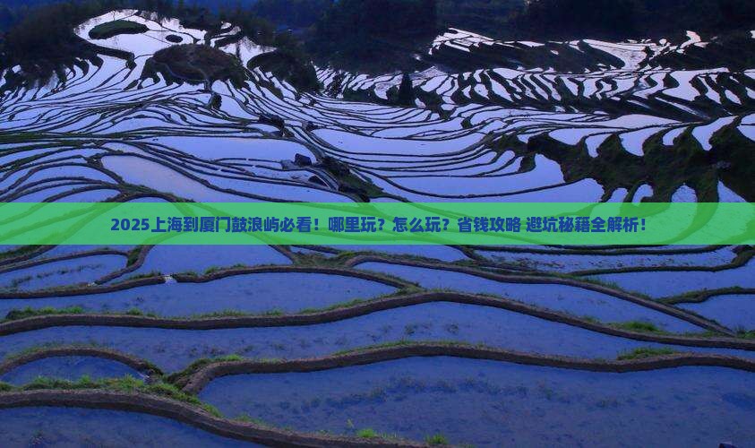 上海到厦门鼓浪屿哪里玩