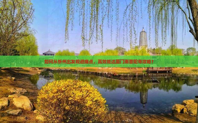 如何从忻州出发规避痛点，高效抵达厦门南普陀寺攻略？