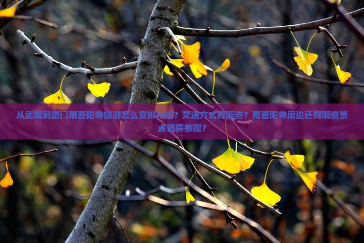 从武威到厦门南普陀寺旅游怎么安排行程？交通方式有哪些？南普陀寺周边还有哪些景点值得参观？