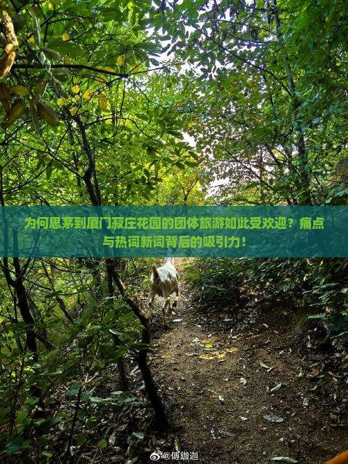为何思茅到厦门菽庄花园的团体旅游如此受欢迎？痛点与热词新词背后的吸引力！