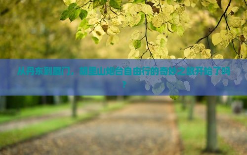从丹东到厦门，胡里山炮台自由行的奇妙之旅开始了吗？