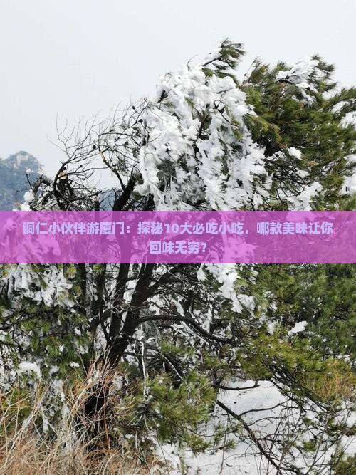铜仁小伙伴游厦门：探秘10大必吃小吃，哪款美味让你回味无穷？