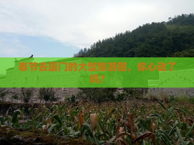 春节去厦门的大型旅游团，你心动了吗？