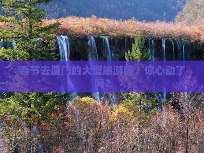 春节去厦门的大型旅游团，你心动了吗？
