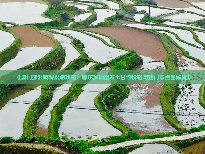 《厦门鼓浪屿深度游攻略：鄂尔多斯出发七日游价格与热门景点全解析》