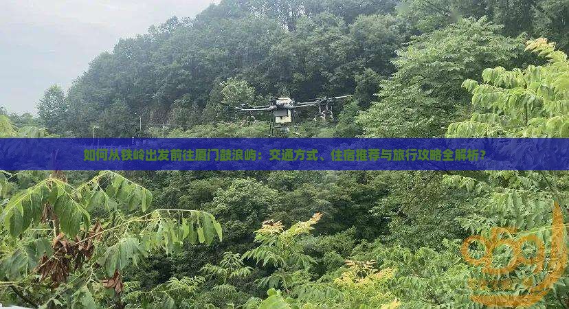 如何从铁岭出发前往厦门鼓浪屿：交通方式、住宿推荐与旅行攻略全解析？
