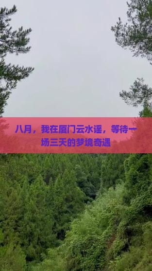 八月，我在厦门云水谣，等待一场三天的梦境奇遇