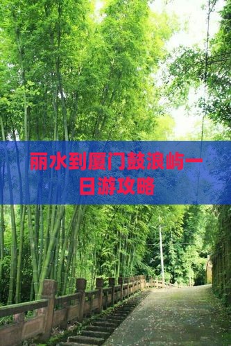 丽水到厦门鼓浪屿一日游攻略