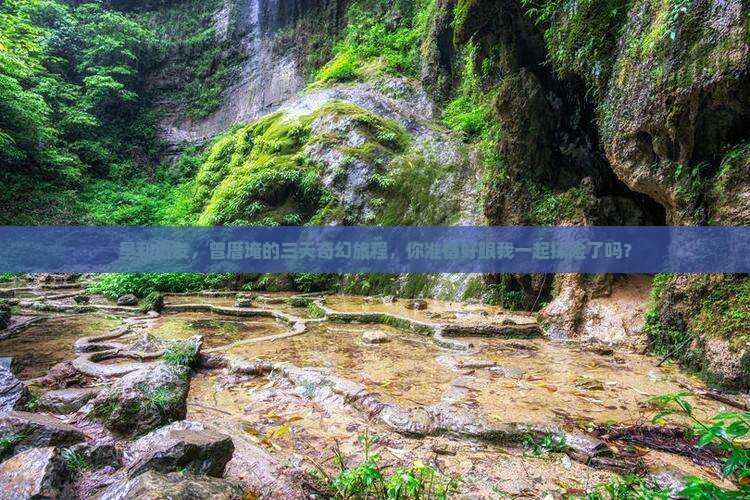 垦利出发，曾厝埯的三天奇幻旅程，你准备好跟我一起探险了吗？