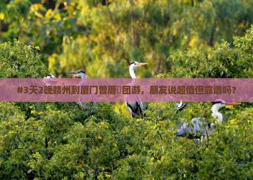 #3天2晚赣州到厦门曾厝垵团游，朋友说超值但靠谱吗？